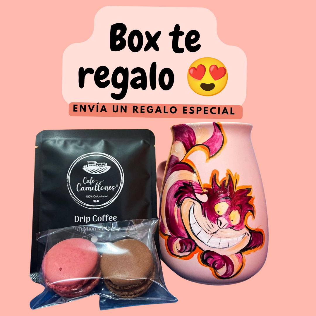 Box te regalo gato