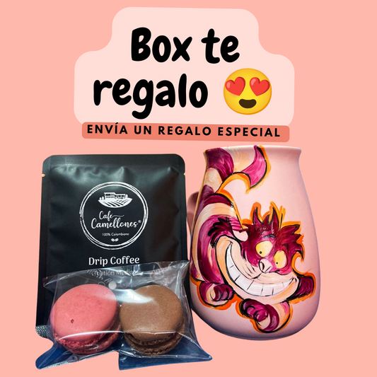 Box te regalo gato